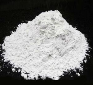 Calcium Carbonate Oyster Shell