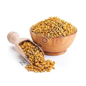 Fenugreek Seeds