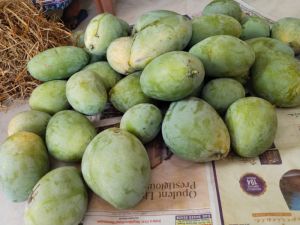 Imaam Pasand Mangoes