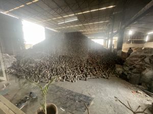 biocoal briquettes