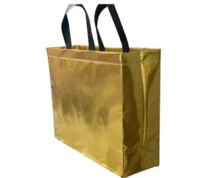 Box Type Loop Handle Non Woven Bags