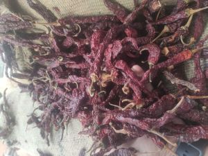 dried red chilies