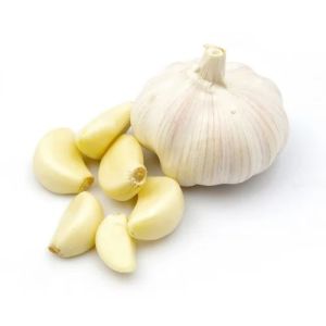 Fresh Garlic