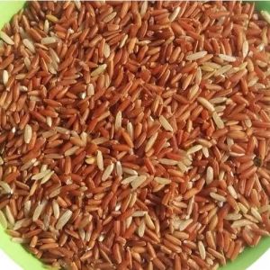 Red Non Basmati Rice