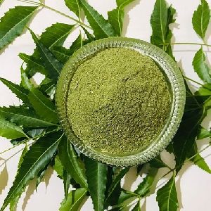 Neem Leaves Powder