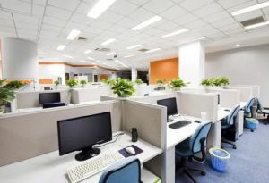 Corporate Office Interior Designing Service