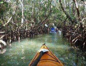 kayaking