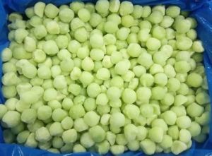 Frozen Muskmelon Balls