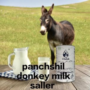 Donkey Milk