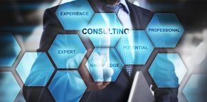 Business Consulting Services