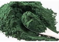 Spirulina