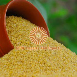 Foxtail Millet