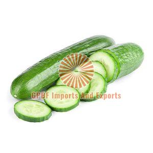 Fresh Cucumber