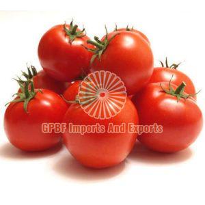 Fresh Tomato