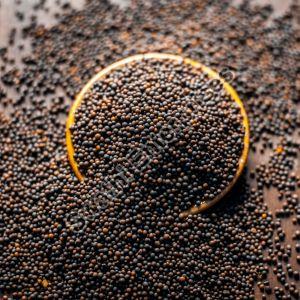 Black Natural Mustard Seeds