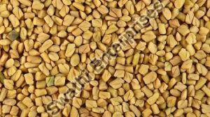 Dried Fenugreek Seeds