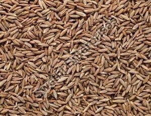 Natural Cumin Seeds