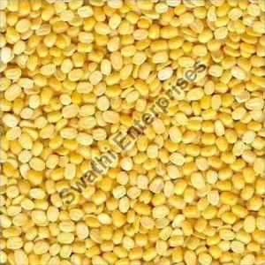 Yellow Moong Dal