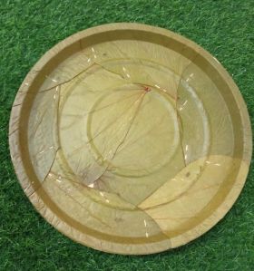 Plain Sal Leaf Disposable Plate