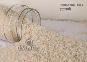 Indrayani rice