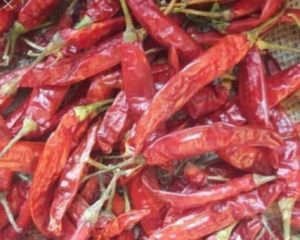 Dry Red Chilli