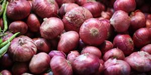 Onions