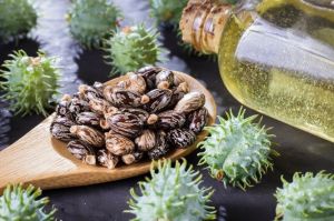 Castor Oil