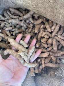 Raw turmeric unpolished