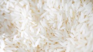 Rice