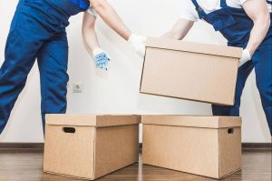 professional packers Movers Services