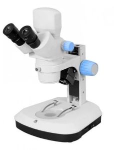 Fluorescence Stereo Microscope