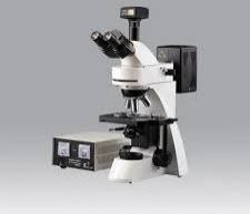 Fluorex FL LED Trinocular Fluorescence Microscope