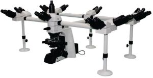 Ultima Deca Head Microscope