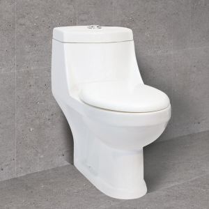 Ceramic White Floor Mounted P Trap Western Toilet Seat
