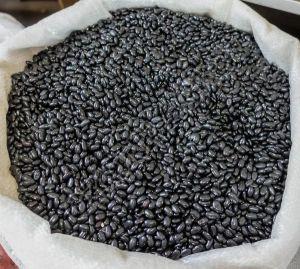 Black Kidney Beans