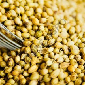 Coriander Seeds