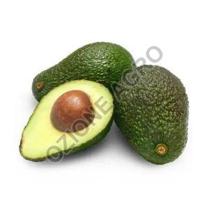 Fresh Avocado