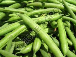 Fresh Green Beans