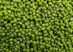 Green Lentil