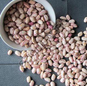 Light Speckled Kidney Beans