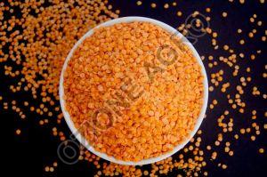 Orange Lentil