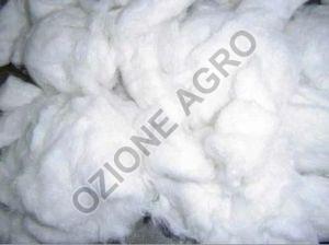 Raw Cotton