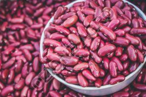 Red Kidney Beans