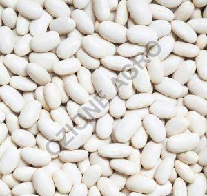 White Kidney Beans