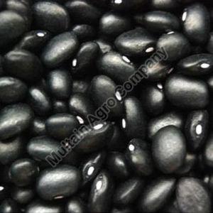 Black Kidney Beans