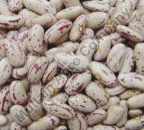 Speckled Kidney Beans