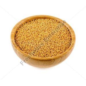 Yellow Mustard Seeds