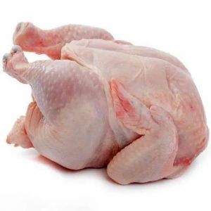 Halal Whole Chicken