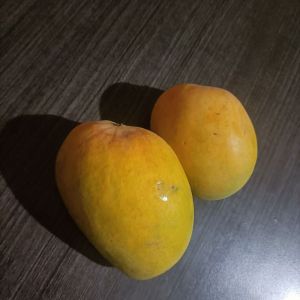 Alphanso Mangoes