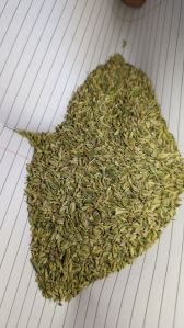 Fennel Seeds